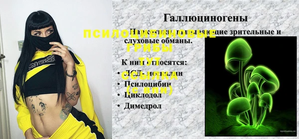 ПСИЛОЦИБИНОВЫЕ ГРИБЫ Алексеевка
