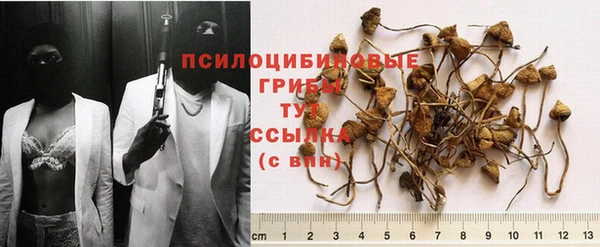 ПСИЛОЦИБИНОВЫЕ ГРИБЫ Алексеевка